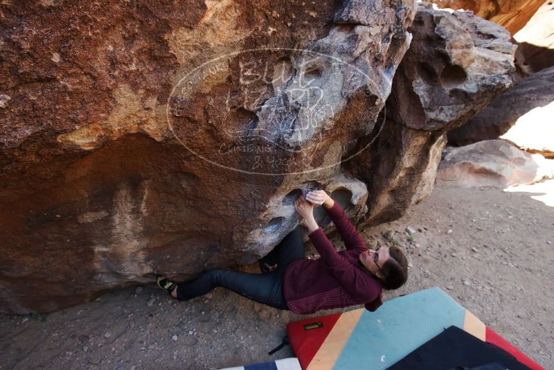 Bouldering in Hueco Tanks on 02/24/2019 with Blue Lizard Climbing and Yoga

Filename: SRM_20190224_1220210.jpg
Aperture: f/5.6
Shutter Speed: 1/320
Body: Canon EOS-1D Mark II
Lens: Canon EF 16-35mm f/2.8 L