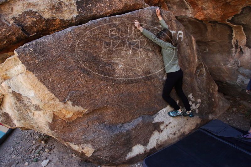 Bouldering in Hueco Tanks on 02/24/2019 with Blue Lizard Climbing and Yoga

Filename: SRM_20190224_1314420.jpg
Aperture: f/5.0
Shutter Speed: 1/400
Body: Canon EOS-1D Mark II
Lens: Canon EF 16-35mm f/2.8 L