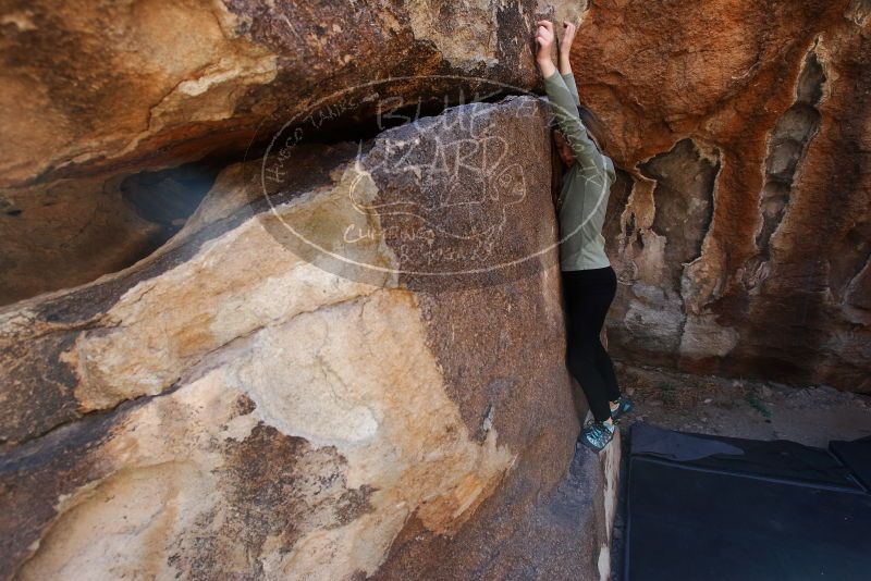 Bouldering in Hueco Tanks on 02/24/2019 with Blue Lizard Climbing and Yoga

Filename: SRM_20190224_1314540.jpg
Aperture: f/5.0
Shutter Speed: 1/500
Body: Canon EOS-1D Mark II
Lens: Canon EF 16-35mm f/2.8 L