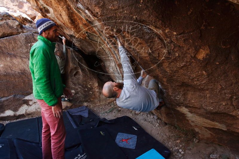 Bouldering in Hueco Tanks on 02/24/2019 with Blue Lizard Climbing and Yoga

Filename: SRM_20190224_1331450.jpg
Aperture: f/5.0
Shutter Speed: 1/250
Body: Canon EOS-1D Mark II
Lens: Canon EF 16-35mm f/2.8 L