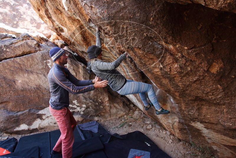 Bouldering in Hueco Tanks on 02/24/2019 with Blue Lizard Climbing and Yoga

Filename: SRM_20190224_1346490.jpg
Aperture: f/5.0
Shutter Speed: 1/200
Body: Canon EOS-1D Mark II
Lens: Canon EF 16-35mm f/2.8 L