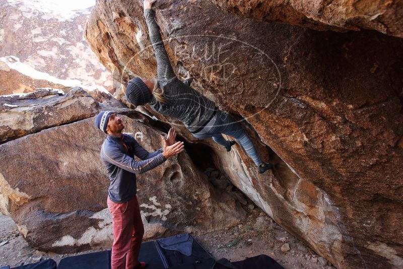 Bouldering in Hueco Tanks on 02/24/2019 with Blue Lizard Climbing and Yoga

Filename: SRM_20190224_1346530.jpg
Aperture: f/5.0
Shutter Speed: 1/250
Body: Canon EOS-1D Mark II
Lens: Canon EF 16-35mm f/2.8 L