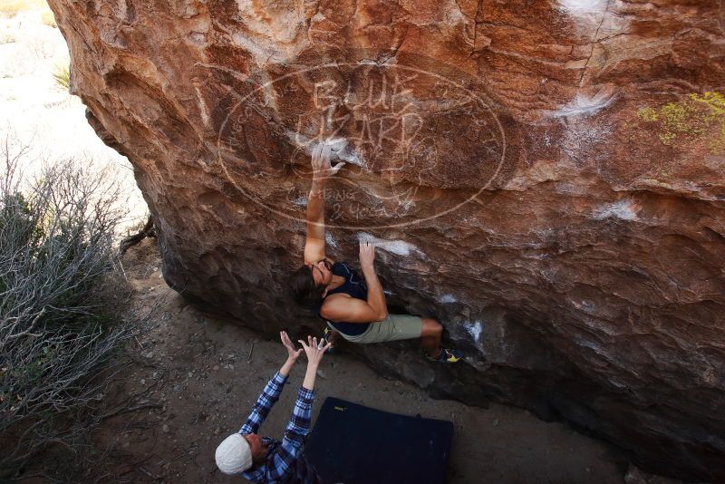 Bouldering in Hueco Tanks on 02/24/2019 with Blue Lizard Climbing and Yoga

Filename: SRM_20190224_1455000.jpg
Aperture: f/5.6
Shutter Speed: 1/400
Body: Canon EOS-1D Mark II
Lens: Canon EF 16-35mm f/2.8 L