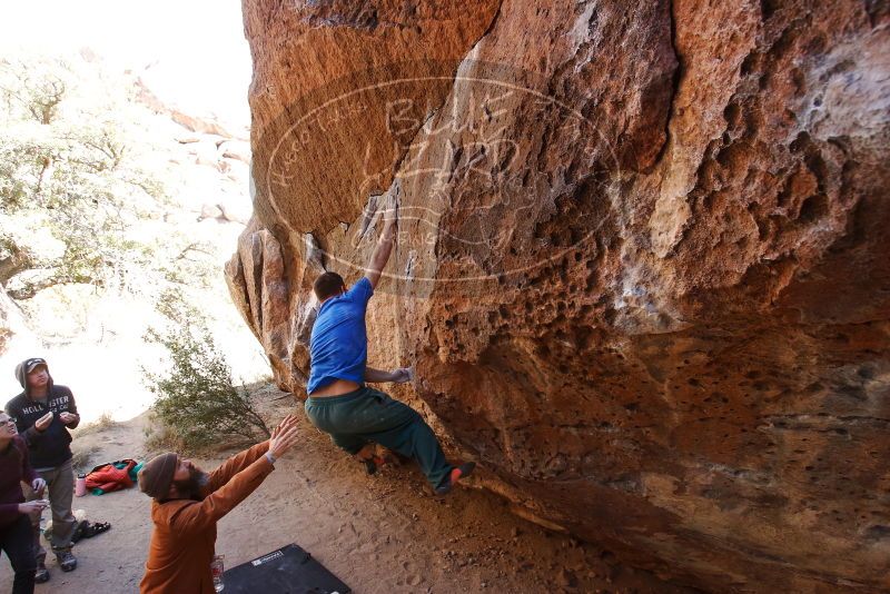 Bouldering in Hueco Tanks on 02/24/2019 with Blue Lizard Climbing and Yoga

Filename: SRM_20190224_1509320.jpg
Aperture: f/5.6
Shutter Speed: 1/250
Body: Canon EOS-1D Mark II
Lens: Canon EF 16-35mm f/2.8 L