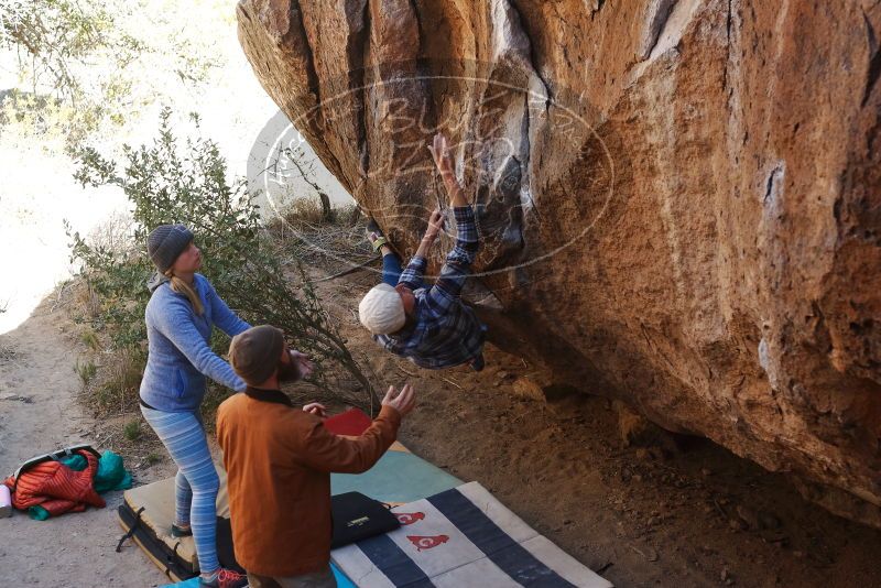 Bouldering in Hueco Tanks on 02/24/2019 with Blue Lizard Climbing and Yoga

Filename: SRM_20190224_1514100.jpg
Aperture: f/4.0
Shutter Speed: 1/400
Body: Canon EOS-1D Mark II
Lens: Canon EF 50mm f/1.8 II