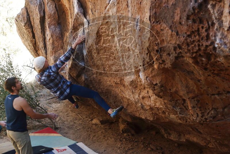 Bouldering in Hueco Tanks on 02/24/2019 with Blue Lizard Climbing and Yoga

Filename: SRM_20190224_1543430.jpg
Aperture: f/4.0
Shutter Speed: 1/250
Body: Canon EOS-1D Mark II
Lens: Canon EF 50mm f/1.8 II