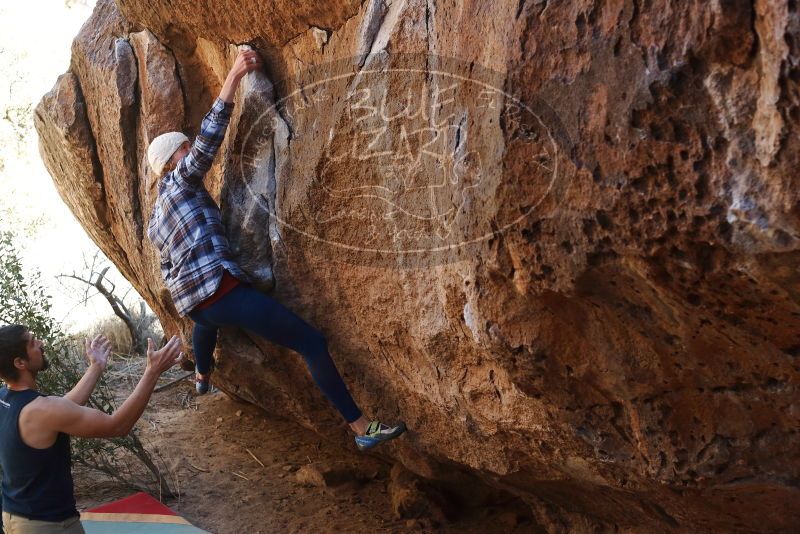 Bouldering in Hueco Tanks on 02/24/2019 with Blue Lizard Climbing and Yoga

Filename: SRM_20190224_1543500.jpg
Aperture: f/4.0
Shutter Speed: 1/320
Body: Canon EOS-1D Mark II
Lens: Canon EF 50mm f/1.8 II