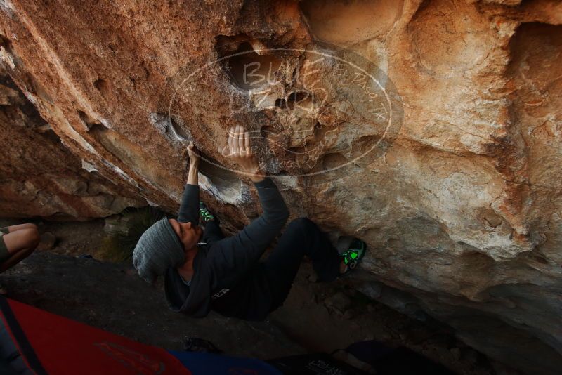 Bouldering in Hueco Tanks on 03/01/2019 with Blue Lizard Climbing and Yoga

Filename: SRM_20190301_1124340.jpg
Aperture: f/5.6
Shutter Speed: 1/320
Body: Canon EOS-1D Mark II
Lens: Canon EF 16-35mm f/2.8 L