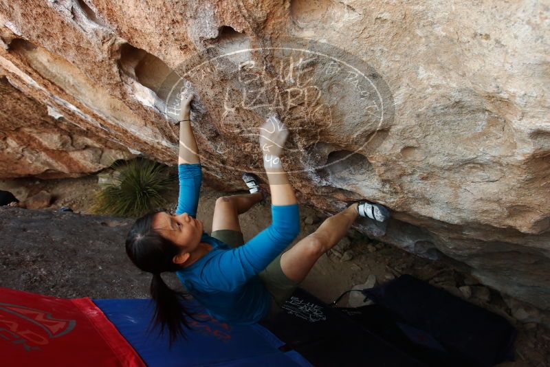 Bouldering in Hueco Tanks on 03/01/2019 with Blue Lizard Climbing and Yoga

Filename: SRM_20190301_1127060.jpg
Aperture: f/5.6
Shutter Speed: 1/125
Body: Canon EOS-1D Mark II
Lens: Canon EF 16-35mm f/2.8 L