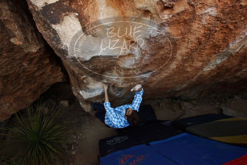 Bouldering in Hueco Tanks on 03/01/2019 with Blue Lizard Climbing and Yoga

Filename: SRM_20190301_1142210.jpg
Aperture: f/5.0
Shutter Speed: 1/200
Body: Canon EOS-1D Mark II
Lens: Canon EF 16-35mm f/2.8 L