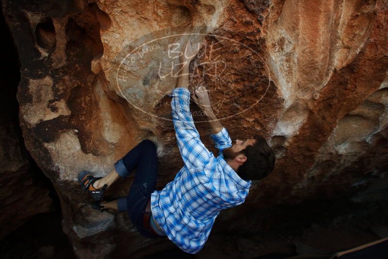 Bouldering in Hueco Tanks on 03/01/2019 with Blue Lizard Climbing and Yoga

Filename: SRM_20190301_1142360.jpg
Aperture: f/5.0
Shutter Speed: 1/500
Body: Canon EOS-1D Mark II
Lens: Canon EF 16-35mm f/2.8 L