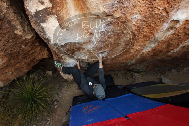 Bouldering in Hueco Tanks on 03/01/2019 with Blue Lizard Climbing and Yoga

Filename: SRM_20190301_1144040.jpg
Aperture: f/5.0
Shutter Speed: 1/160
Body: Canon EOS-1D Mark II
Lens: Canon EF 16-35mm f/2.8 L