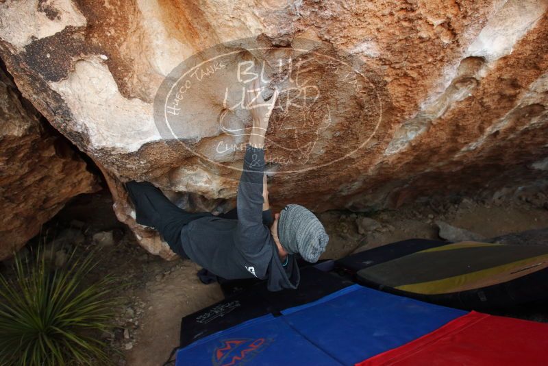 Bouldering in Hueco Tanks on 03/01/2019 with Blue Lizard Climbing and Yoga

Filename: SRM_20190301_1145010.jpg
Aperture: f/5.0
Shutter Speed: 1/160
Body: Canon EOS-1D Mark II
Lens: Canon EF 16-35mm f/2.8 L