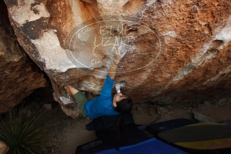 Bouldering in Hueco Tanks on 03/01/2019 with Blue Lizard Climbing and Yoga

Filename: SRM_20190301_1146470.jpg
Aperture: f/5.0
Shutter Speed: 1/200
Body: Canon EOS-1D Mark II
Lens: Canon EF 16-35mm f/2.8 L