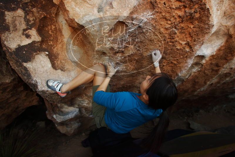 Bouldering in Hueco Tanks on 03/01/2019 with Blue Lizard Climbing and Yoga

Filename: SRM_20190301_1147010.jpg
Aperture: f/5.0
Shutter Speed: 1/320
Body: Canon EOS-1D Mark II
Lens: Canon EF 16-35mm f/2.8 L