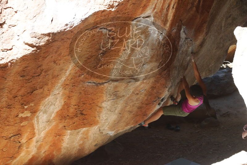 Bouldering in Hueco Tanks on 03/01/2019 with Blue Lizard Climbing and Yoga

Filename: SRM_20190301_1156350.jpg
Aperture: f/5.6
Shutter Speed: 1/800
Body: Canon EOS-1D Mark II
Lens: Canon EF 50mm f/1.8 II