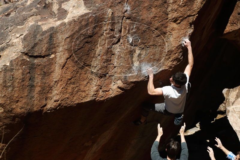 Bouldering in Hueco Tanks on 03/01/2019 with Blue Lizard Climbing and Yoga

Filename: SRM_20190301_1158190.jpg
Aperture: f/4.0
Shutter Speed: 1/800
Body: Canon EOS-1D Mark II
Lens: Canon EF 50mm f/1.8 II