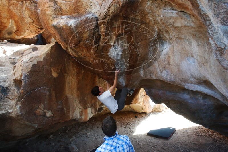 Bouldering in Hueco Tanks on 03/01/2019 with Blue Lizard Climbing and Yoga

Filename: SRM_20190301_1236560.jpg
Aperture: f/5.0
Shutter Speed: 1/200
Body: Canon EOS-1D Mark II
Lens: Canon EF 16-35mm f/2.8 L