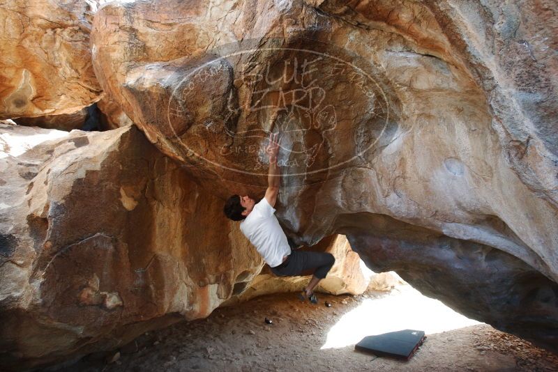 Bouldering in Hueco Tanks on 03/01/2019 with Blue Lizard Climbing and Yoga

Filename: SRM_20190301_1238500.jpg
Aperture: f/5.0
Shutter Speed: 1/250
Body: Canon EOS-1D Mark II
Lens: Canon EF 16-35mm f/2.8 L