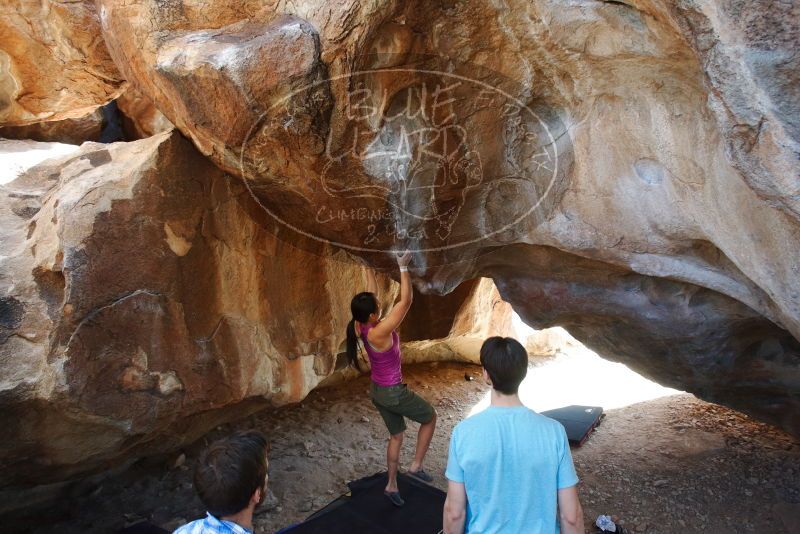 Bouldering in Hueco Tanks on 03/01/2019 with Blue Lizard Climbing and Yoga

Filename: SRM_20190301_1243070.jpg
Aperture: f/5.0
Shutter Speed: 1/200
Body: Canon EOS-1D Mark II
Lens: Canon EF 16-35mm f/2.8 L