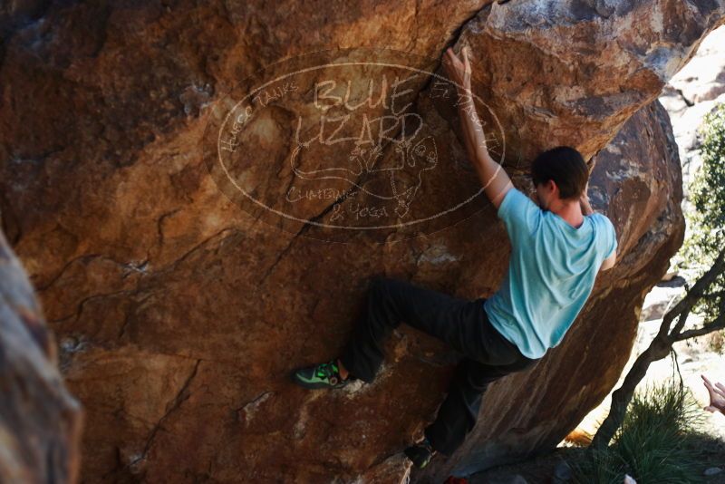 Bouldering in Hueco Tanks on 03/01/2019 with Blue Lizard Climbing and Yoga

Filename: SRM_20190301_1337110.jpg
Aperture: f/2.8
Shutter Speed: 1/800
Body: Canon EOS-1D Mark II
Lens: Canon EF 50mm f/1.8 II