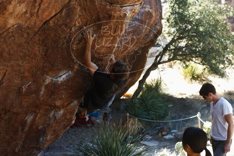 Bouldering in Hueco Tanks on 03/01/2019 with Blue Lizard Climbing and Yoga

Filename: SRM_20190301_1339240.jpg
Aperture: f/3.5
Shutter Speed: 1/250
Body: Canon EOS-1D Mark II
Lens: Canon EF 50mm f/1.8 II