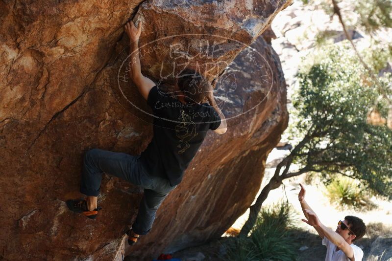 Bouldering in Hueco Tanks on 03/01/2019 with Blue Lizard Climbing and Yoga

Filename: SRM_20190301_1339400.jpg
Aperture: f/3.5
Shutter Speed: 1/250
Body: Canon EOS-1D Mark II
Lens: Canon EF 50mm f/1.8 II