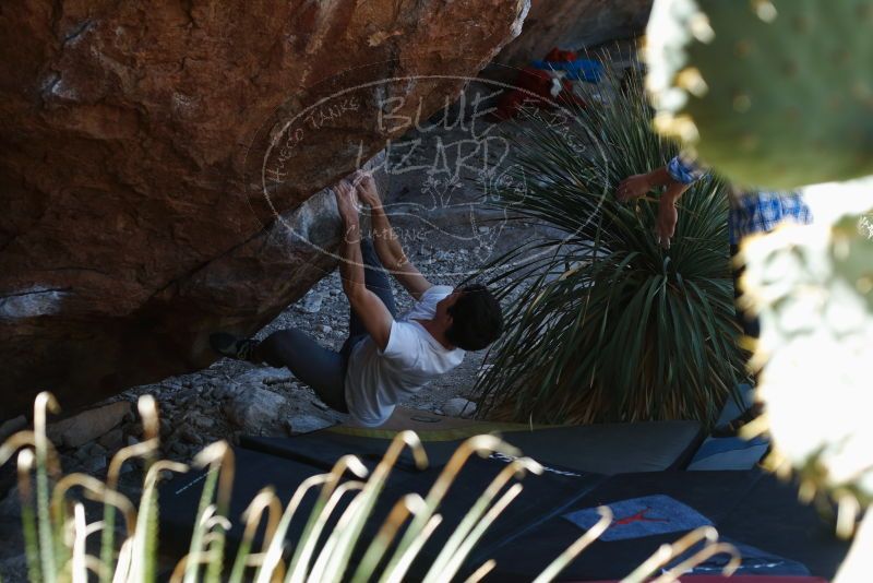 Bouldering in Hueco Tanks on 03/01/2019 with Blue Lizard Climbing and Yoga

Filename: SRM_20190301_1342060.jpg
Aperture: f/3.5
Shutter Speed: 1/250
Body: Canon EOS-1D Mark II
Lens: Canon EF 50mm f/1.8 II