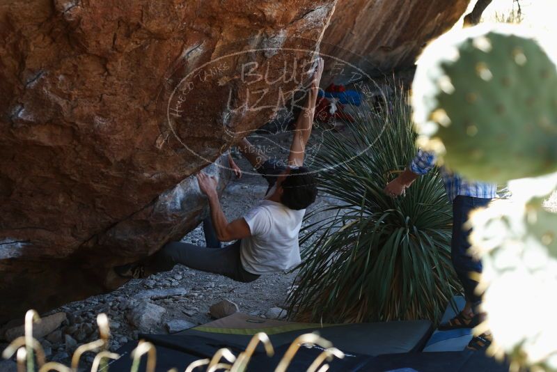 Bouldering in Hueco Tanks on 03/01/2019 with Blue Lizard Climbing and Yoga

Filename: SRM_20190301_1342100.jpg
Aperture: f/3.5
Shutter Speed: 1/200
Body: Canon EOS-1D Mark II
Lens: Canon EF 50mm f/1.8 II