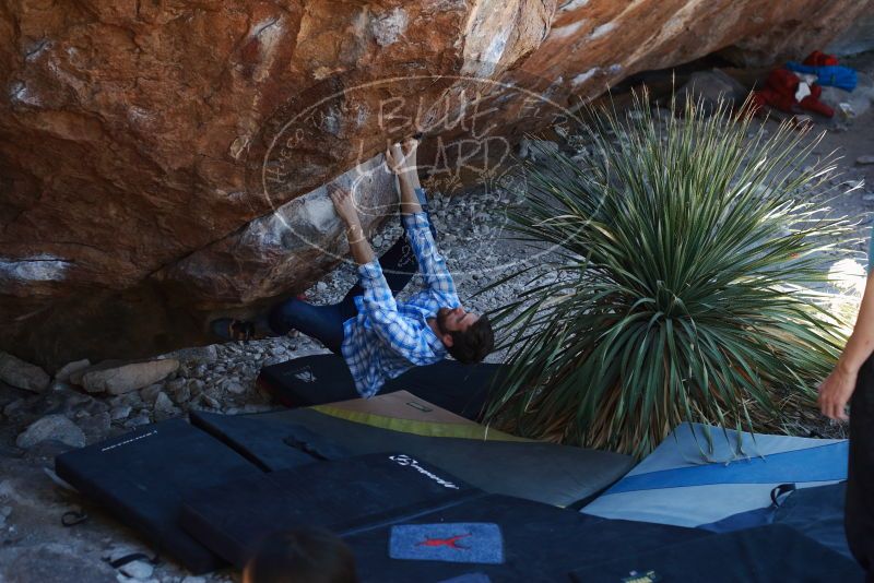 Bouldering in Hueco Tanks on 03/01/2019 with Blue Lizard Climbing and Yoga

Filename: SRM_20190301_1344000.jpg
Aperture: f/3.5
Shutter Speed: 1/160
Body: Canon EOS-1D Mark II
Lens: Canon EF 50mm f/1.8 II