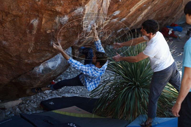 Bouldering in Hueco Tanks on 03/01/2019 with Blue Lizard Climbing and Yoga

Filename: SRM_20190301_1344060.jpg
Aperture: f/3.5
Shutter Speed: 1/160
Body: Canon EOS-1D Mark II
Lens: Canon EF 50mm f/1.8 II