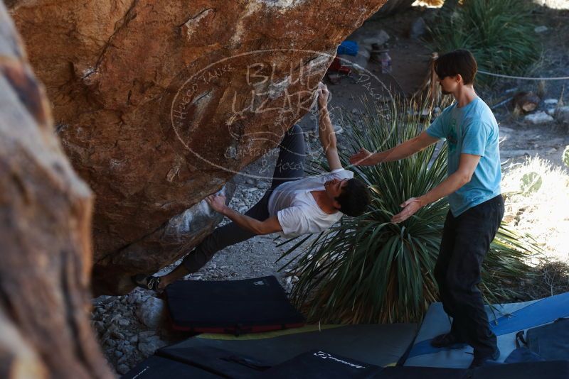 Bouldering in Hueco Tanks on 03/01/2019 with Blue Lizard Climbing and Yoga

Filename: SRM_20190301_1349360.jpg
Aperture: f/3.5
Shutter Speed: 1/200
Body: Canon EOS-1D Mark II
Lens: Canon EF 50mm f/1.8 II