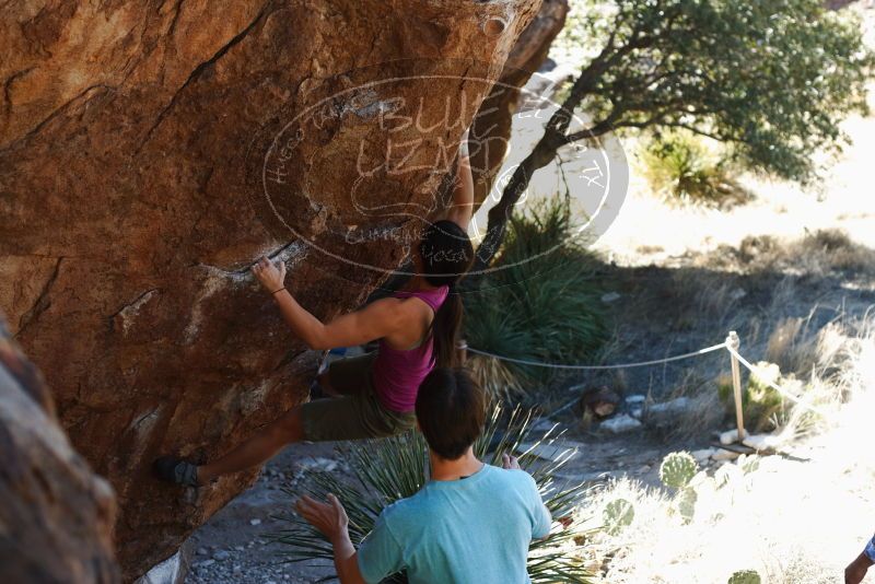 Bouldering in Hueco Tanks on 03/01/2019 with Blue Lizard Climbing and Yoga

Filename: SRM_20190301_1351310.jpg
Aperture: f/3.5
Shutter Speed: 1/250
Body: Canon EOS-1D Mark II
Lens: Canon EF 50mm f/1.8 II