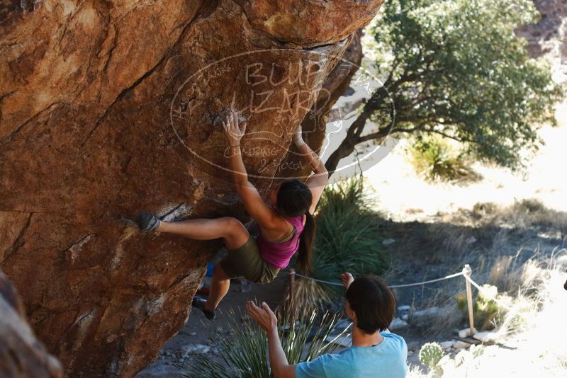 Bouldering in Hueco Tanks on 03/01/2019 with Blue Lizard Climbing and Yoga

Filename: SRM_20190301_1351350.jpg
Aperture: f/3.5
Shutter Speed: 1/250
Body: Canon EOS-1D Mark II
Lens: Canon EF 50mm f/1.8 II