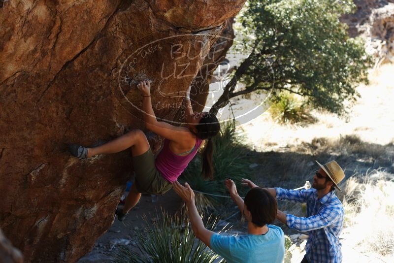 Bouldering in Hueco Tanks on 03/01/2019 with Blue Lizard Climbing and Yoga

Filename: SRM_20190301_1351370.jpg
Aperture: f/3.5
Shutter Speed: 1/320
Body: Canon EOS-1D Mark II
Lens: Canon EF 50mm f/1.8 II