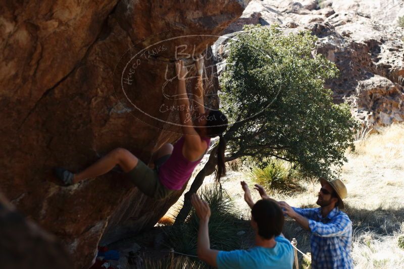 Bouldering in Hueco Tanks on 03/01/2019 with Blue Lizard Climbing and Yoga

Filename: SRM_20190301_1351440.jpg
Aperture: f/3.5
Shutter Speed: 1/500
Body: Canon EOS-1D Mark II
Lens: Canon EF 50mm f/1.8 II