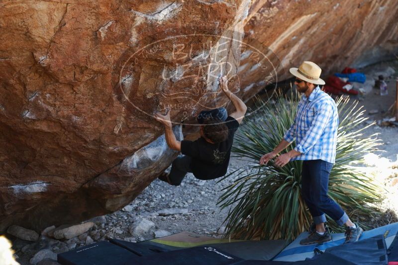 Bouldering in Hueco Tanks on 03/01/2019 with Blue Lizard Climbing and Yoga

Filename: SRM_20190301_1354410.jpg
Aperture: f/3.2
Shutter Speed: 1/160
Body: Canon EOS-1D Mark II
Lens: Canon EF 50mm f/1.8 II