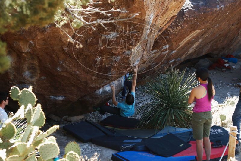 Bouldering in Hueco Tanks on 03/01/2019 with Blue Lizard Climbing and Yoga

Filename: SRM_20190301_1400190.jpg
Aperture: f/3.2
Shutter Speed: 1/320
Body: Canon EOS-1D Mark II
Lens: Canon EF 50mm f/1.8 II