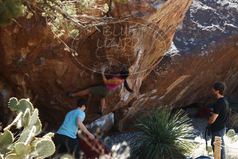 Bouldering in Hueco Tanks on 03/01/2019 with Blue Lizard Climbing and Yoga

Filename: SRM_20190301_1400520.jpg
Aperture: f/3.2
Shutter Speed: 1/400
Body: Canon EOS-1D Mark II
Lens: Canon EF 50mm f/1.8 II