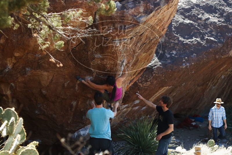 Bouldering in Hueco Tanks on 03/01/2019 with Blue Lizard Climbing and Yoga

Filename: SRM_20190301_1401000.jpg
Aperture: f/3.2
Shutter Speed: 1/400
Body: Canon EOS-1D Mark II
Lens: Canon EF 50mm f/1.8 II