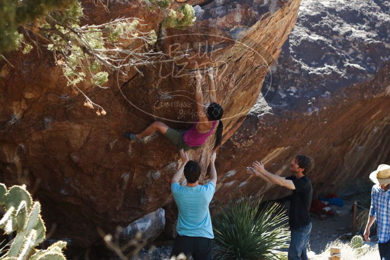 Bouldering in Hueco Tanks on 03/01/2019 with Blue Lizard Climbing and Yoga

Filename: SRM_20190301_1401080.jpg
Aperture: f/3.2
Shutter Speed: 1/400
Body: Canon EOS-1D Mark II
Lens: Canon EF 50mm f/1.8 II