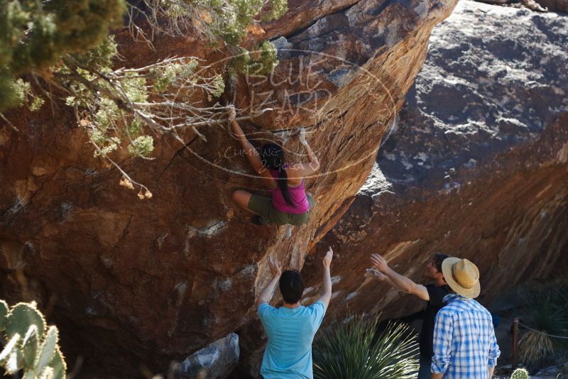 Bouldering in Hueco Tanks on 03/01/2019 with Blue Lizard Climbing and Yoga

Filename: SRM_20190301_1401170.jpg
Aperture: f/3.2
Shutter Speed: 1/500
Body: Canon EOS-1D Mark II
Lens: Canon EF 50mm f/1.8 II