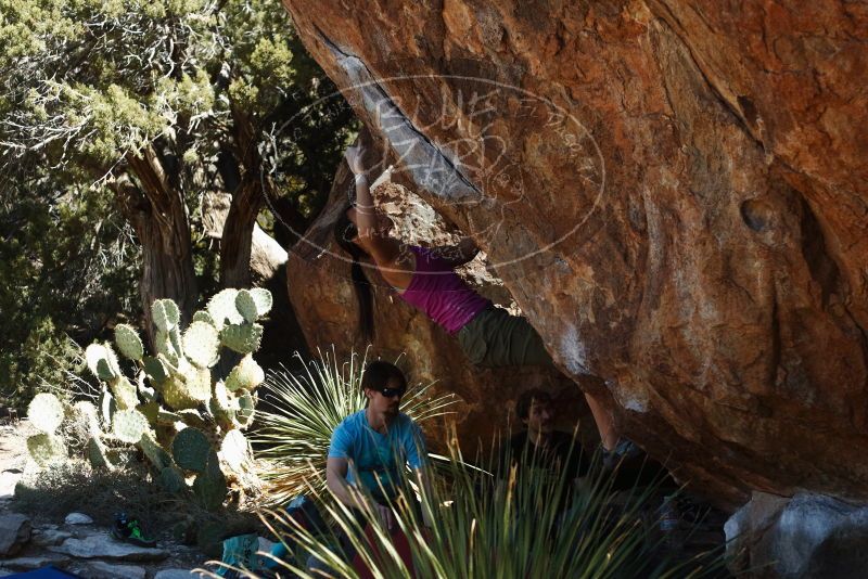 Bouldering in Hueco Tanks on 03/01/2019 with Blue Lizard Climbing and Yoga

Filename: SRM_20190301_1408540.jpg
Aperture: f/3.5
Shutter Speed: 1/500
Body: Canon EOS-1D Mark II
Lens: Canon EF 50mm f/1.8 II