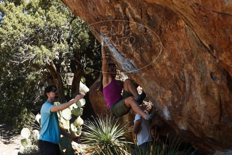 Bouldering in Hueco Tanks on 03/01/2019 with Blue Lizard Climbing and Yoga

Filename: SRM_20190301_1408590.jpg
Aperture: f/3.5
Shutter Speed: 1/640
Body: Canon EOS-1D Mark II
Lens: Canon EF 50mm f/1.8 II