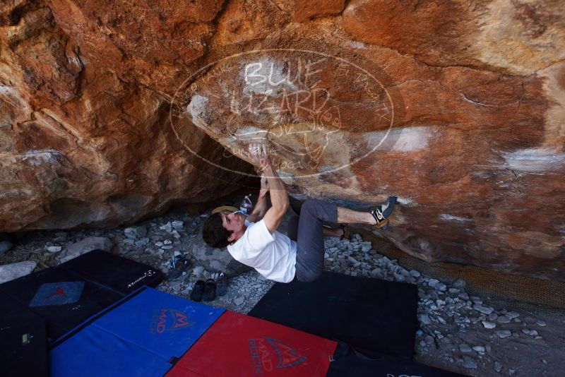 Bouldering in Hueco Tanks on 03/01/2019 with Blue Lizard Climbing and Yoga

Filename: SRM_20190301_1438520.jpg
Aperture: f/4.5
Shutter Speed: 1/250
Body: Canon EOS-1D Mark II
Lens: Canon EF 16-35mm f/2.8 L