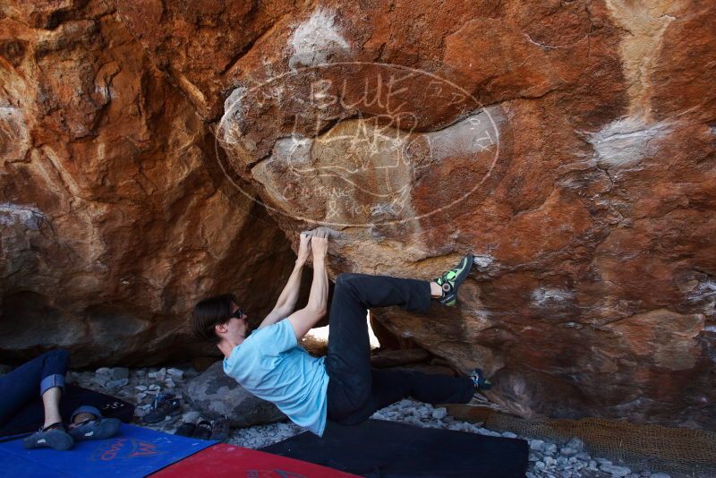 Bouldering in Hueco Tanks on 03/01/2019 with Blue Lizard Climbing and Yoga

Filename: SRM_20190301_1442410.jpg
Aperture: f/5.0
Shutter Speed: 1/200
Body: Canon EOS-1D Mark II
Lens: Canon EF 16-35mm f/2.8 L