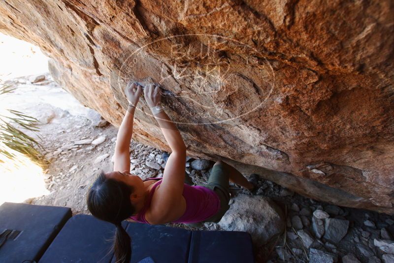 Bouldering in Hueco Tanks on 03/01/2019 with Blue Lizard Climbing and Yoga

Filename: SRM_20190301_1456070.jpg
Aperture: f/5.0
Shutter Speed: 1/125
Body: Canon EOS-1D Mark II
Lens: Canon EF 16-35mm f/2.8 L