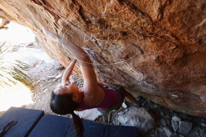 Bouldering in Hueco Tanks on 03/01/2019 with Blue Lizard Climbing and Yoga

Filename: SRM_20190301_1456080.jpg
Aperture: f/5.0
Shutter Speed: 1/125
Body: Canon EOS-1D Mark II
Lens: Canon EF 16-35mm f/2.8 L