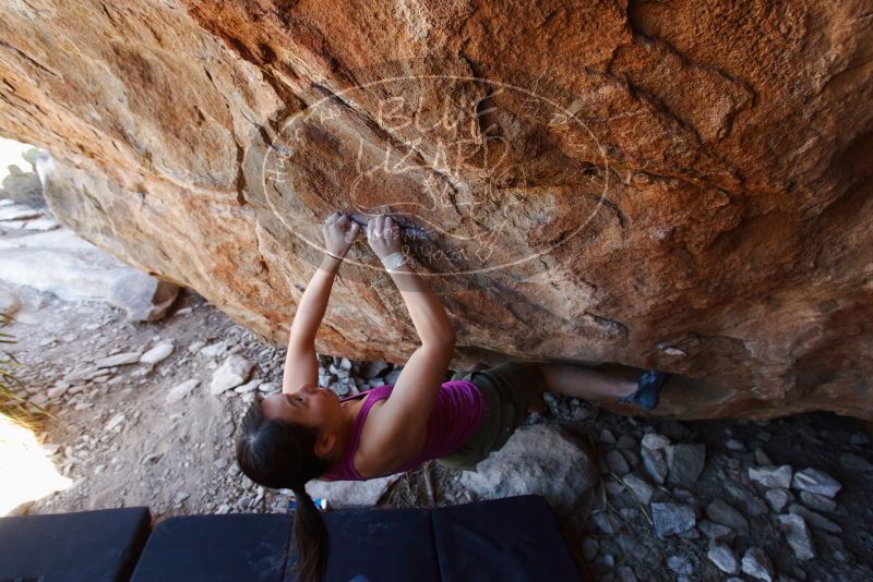 Bouldering in Hueco Tanks on 03/01/2019 with Blue Lizard Climbing and Yoga

Filename: SRM_20190301_1456520.jpg
Aperture: f/5.0
Shutter Speed: 1/160
Body: Canon EOS-1D Mark II
Lens: Canon EF 16-35mm f/2.8 L