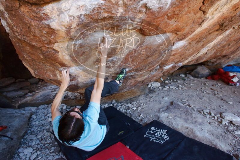 Bouldering in Hueco Tanks on 03/01/2019 with Blue Lizard Climbing and Yoga

Filename: SRM_20190301_1458510.jpg
Aperture: f/5.0
Shutter Speed: 1/125
Body: Canon EOS-1D Mark II
Lens: Canon EF 16-35mm f/2.8 L